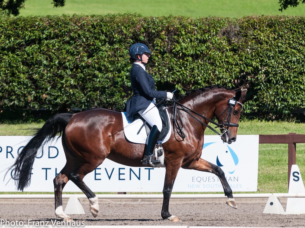 2015 NSW Dressage Championships | Equestrian New South Wales